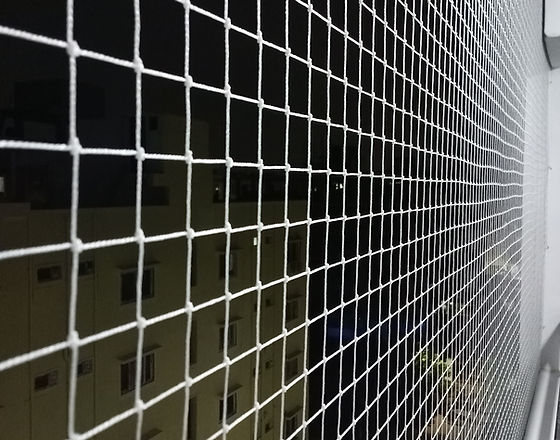 Bird Nets